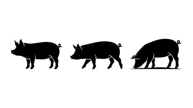 Three Pig Silhouettes Set Vector Illustration of Domestic Farm Animals Isolated on White Background