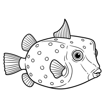 boxfish trunkfish marine line art vector illustration
