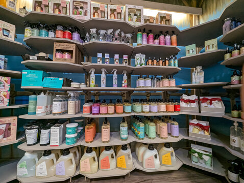 Quebec, Canada, 16 May 2026 : Shelves display a variety of PURE, Cucina, and Alo brand household and personal care products in a retail store.