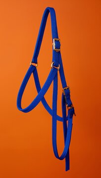 Blue pet harness with adjustable straps and metal buckles displayed against a vibrant orange background, showcasing its design and construction details