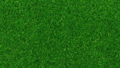 Fototapeta premium Lush Green Grass Texture in Bright Natural Light