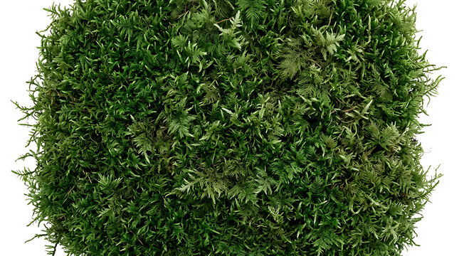 lush greenery artificial plant wall for interior design