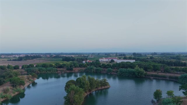 Aerial View of Small Lake Island with Vineyards and Country Road [180&deg; shutter angle from ProRes 10 bit S-Log]