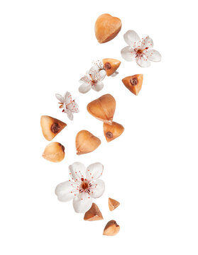 Buckwheat groats with blossoms floating in the air close-up on a transparent background