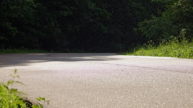 Driver makes sharp turn on winding road in the forest during sunny afternoon