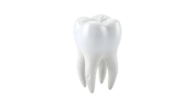 Realistic White Molar Tooth Isolated on Transparent Background