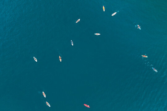 An aerial perspective shows several paddleboarders gliding smoothly on the deep blue ocean. They enjoy recreation and sport activities on a sunny day