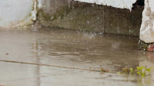 Rain falls on the pavement and creates ripples in puddles near the wall