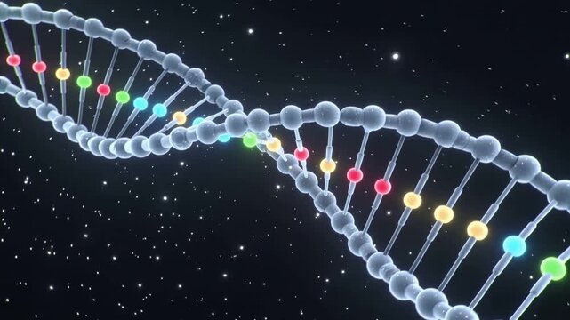 DNA molecule rotating in space. Genetic helix structure with colorful base pairs. Scientific representation of genetic code for biotechnology and medical research.