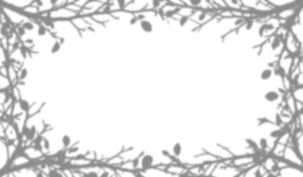 Shadow overlay of tree branches and leaves isolated on transparent background