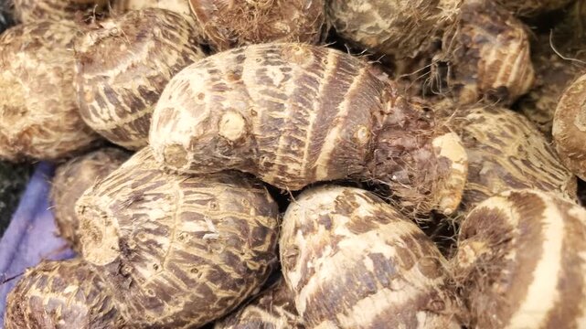 Fresh raw taro roots pile in grocery store display close up