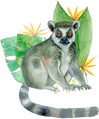 Fototapeta premium Watercolor painting of a lemur