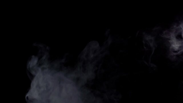 Silhouette of a Wolf Howling at the Full Moon on a Dark Foggy Night with Smoke and Dramatic Halloween Atmosphere