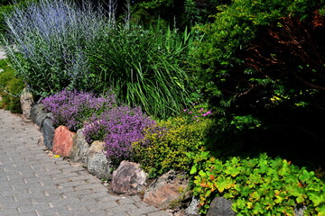 Obraz premium Landscaped ornamental flower bed with perennial plants in a traditional garden