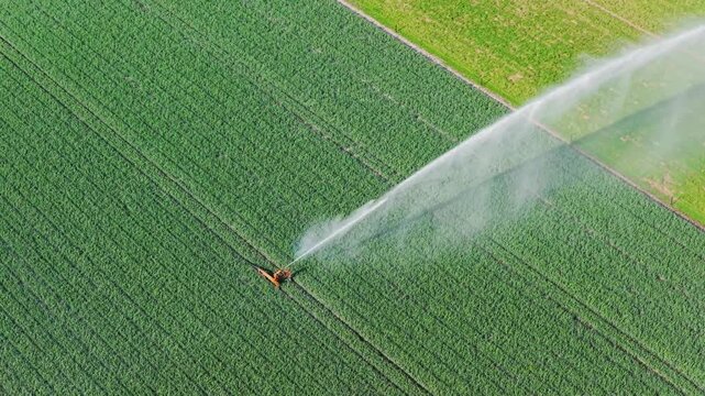 Aerial drone view of agricultural field with irrigation system watering crops. Center pivot irrigation machine spraying water on agricultural land.