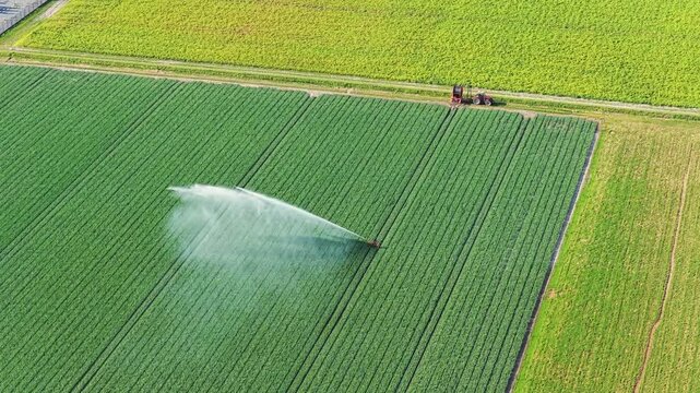 Aerial drone view of agricultural field with irrigation system watering crops. Center pivot irrigation machine spraying water on agricultural land.