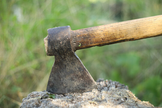 Axe rests on log in forest during daytime