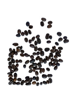 Random Coffee Beans Layout Isolated On White Background Design
