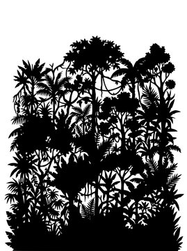 Tropical jungle silhouette with dense rainforest trees and plants