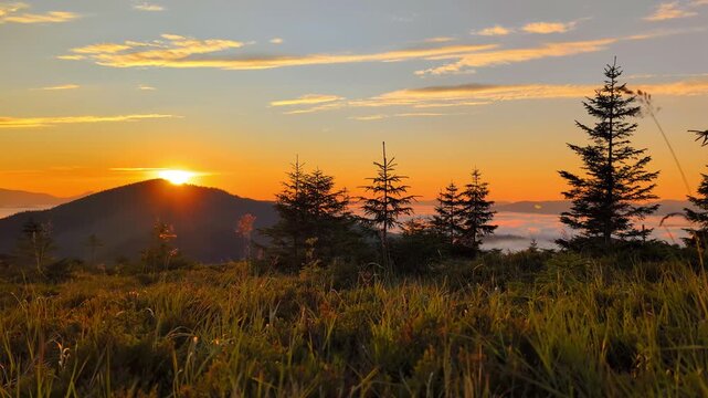 Amazing summer  sunrise in Carpathian mountains, Drahobrat