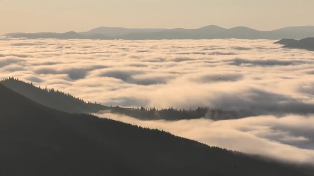 Amazing summer  sunrise in Carpathian mountains, Drahobrat