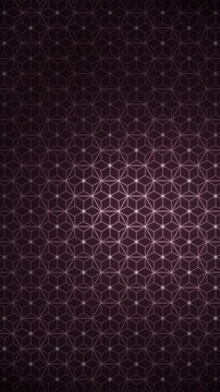 Elegant Japanese Asanoha hemp leaf pattern, gold geometric lattice of fine lines with a soft glow travelling through the six pointed star grid, traditional wagara in deep blush tones vertical 9:16