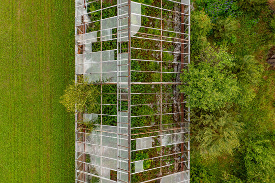 Aerial view of an abandoned greenhouse with broken glass panels and overgrown vegetation surrounded by green fields and trees in Uusimaa, Finland.