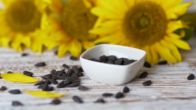 Still life of blooming yellow sunflower and black seeds stock video
