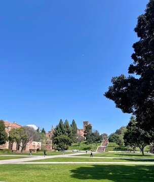 Sunny view of Royce Hall and the UCLA campus in Los Angeles, California, featuring green lawns, historic architecture and a clear blue sky. Ideal for education, university, travel and campus life 