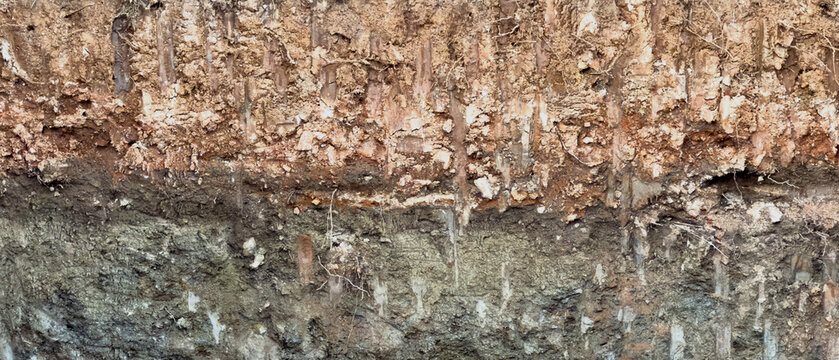 Excavated earth wall texture, rocky soil substrate above a clay layer, roots, stones and natural strata, closeup