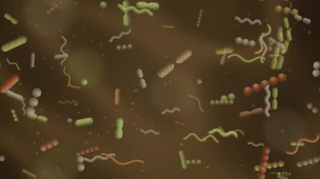 Gut microbiome bacteria ecosystem rod coccus and spiral microbes dividing in mucus seamless loop in subtle amber tones