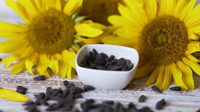 Yellow sunflower head near heap of unpeeled seeds in small bowl clip