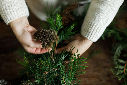 Close up of female hands adding dried plants into green fir Christmas wreath. Handcrafted xmas door decoration, cozy winter workshop, rustic scandinavian aesthetic interior.