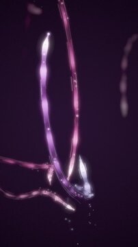 Athletic Motion Trails Sweeping Light Streaks with Strobe Afterimages Seamless Loop in rich magenta tones vertical 9:16