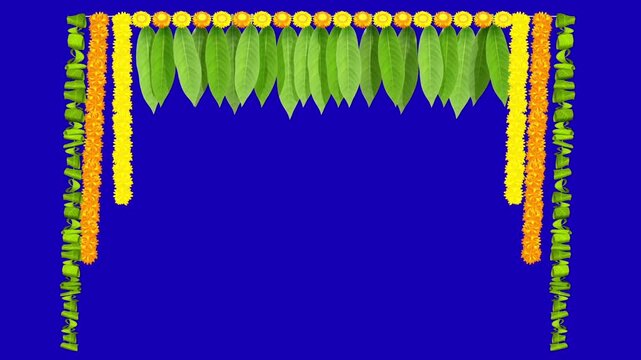 Traditional marigold flower and mango leaf thoran decoration motion graphic