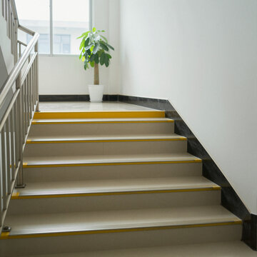 empty staircase with potted plant in corner, sunlight filtering through window, modern interior design