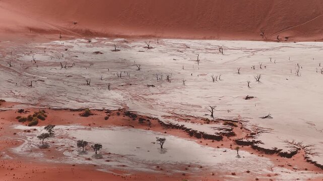 Aerial view of Sossusvlei and Deadvlei in Namibia shows white clay pan, dead camelthorn trees, red dunes, tiny groups walking, wide composition, soft natural light.