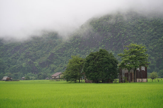 Morning mist over rice fields and rural landscape in Kong Lor Village, Khammouane Province, Laos
