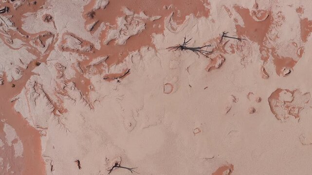 Aerial top down view of Deadvlei in Sossusvlei, Namibia shows white polygonal salt crust, orange sand intrusions, and black camel thorn trees with long shadows.