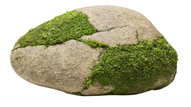 Rough textured grey boulder with patches of vibrant green moss, isolated on transparent background