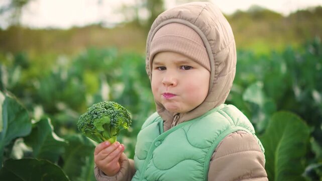 A curious toddler discovers a fresh broccoli floret while exploring the garden. This little one holds the vegetable with wonder, embodying innocence and healthy eating habits in nature.