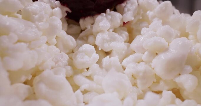 Cottage cheese fresh milk curd with currant jam, probe lens macro.