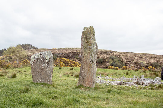 Ancient standing stones and stone circle ruins in a grassy field with yellow gorse on a hillside under a cloudy sky