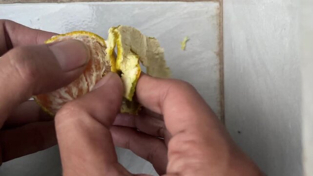 Person Peeling A Fresh Ripe Mini Orange Fruit With Hands.