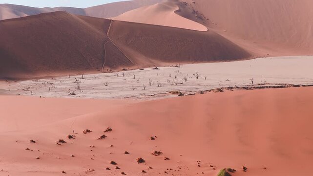 Aerial view of Deadvlei clay pan and black camelthorn trees in Sossusvlei, Namibia. Tiny people and tracks move on rust red dunes in warm low light with long shadows.