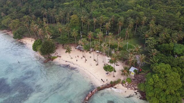 Aerial Drone View of  Karimun Jawa Tropical Beach with Coconut Palm Trees and Crystal Clear Ocean