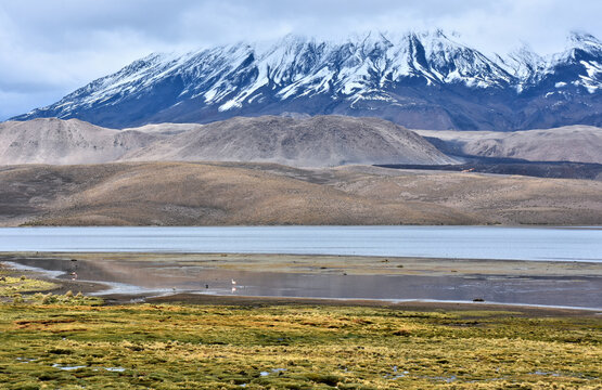 Panorama of Chungara Lake with Parinacota Volcano in background. Lauca National Park. Chile.