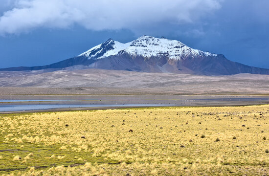Panorama of Chungara Lake with Parinacota Volcano in background. Lauca National Park. Chile.