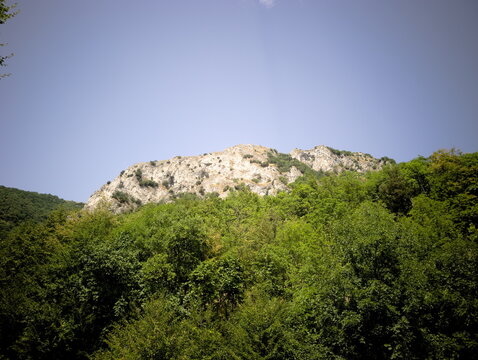 Montagna rocciosa chiara circondata da foresta verde e cielo azzurro limpido. Forte contrasto tra roccia esposta e vegetazione fitta, scena naturale luminosa e incontaminata