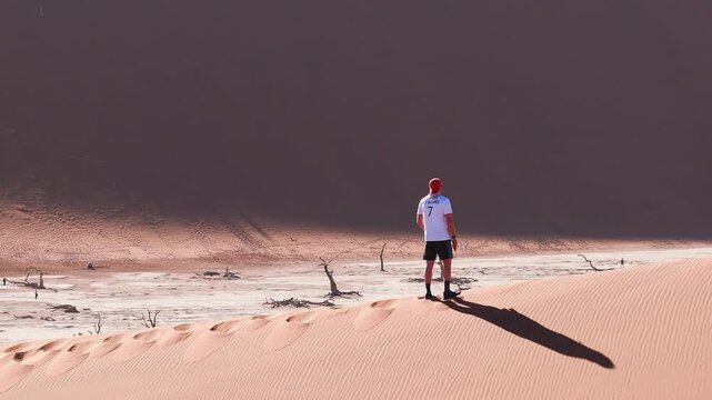 Aerial view shows a lone tourist on a rust orange dune above Deadvlei clay pan with dead camelthorn trees in Sossusvlei, Namibia, in warm low angle light.
